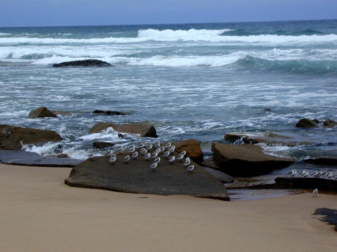 Bed and Breakfast Hornbill House Mtubatuba Екстер'єр фото
